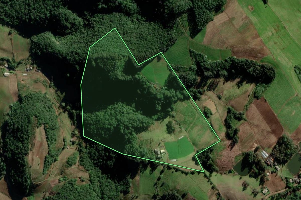 Imagem de satélite do imóvel rural em Passa Sete (RS), com o contorno declarado no CAR desenhado por cima.