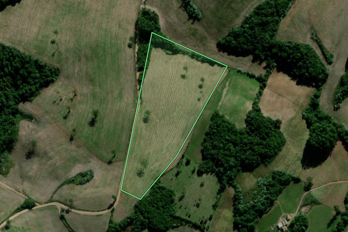 Imagem de satélite do imóvel rural em Passa Sete (RS), com o contorno declarado no CAR desenhado por cima.