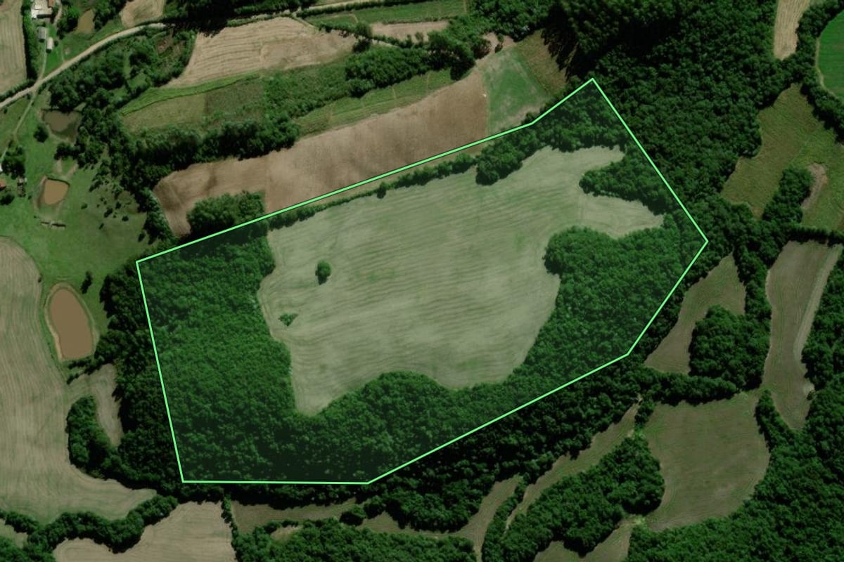 Imagem de satélite do imóvel rural em Passa Sete (RS), com o contorno declarado no CAR desenhado por cima.