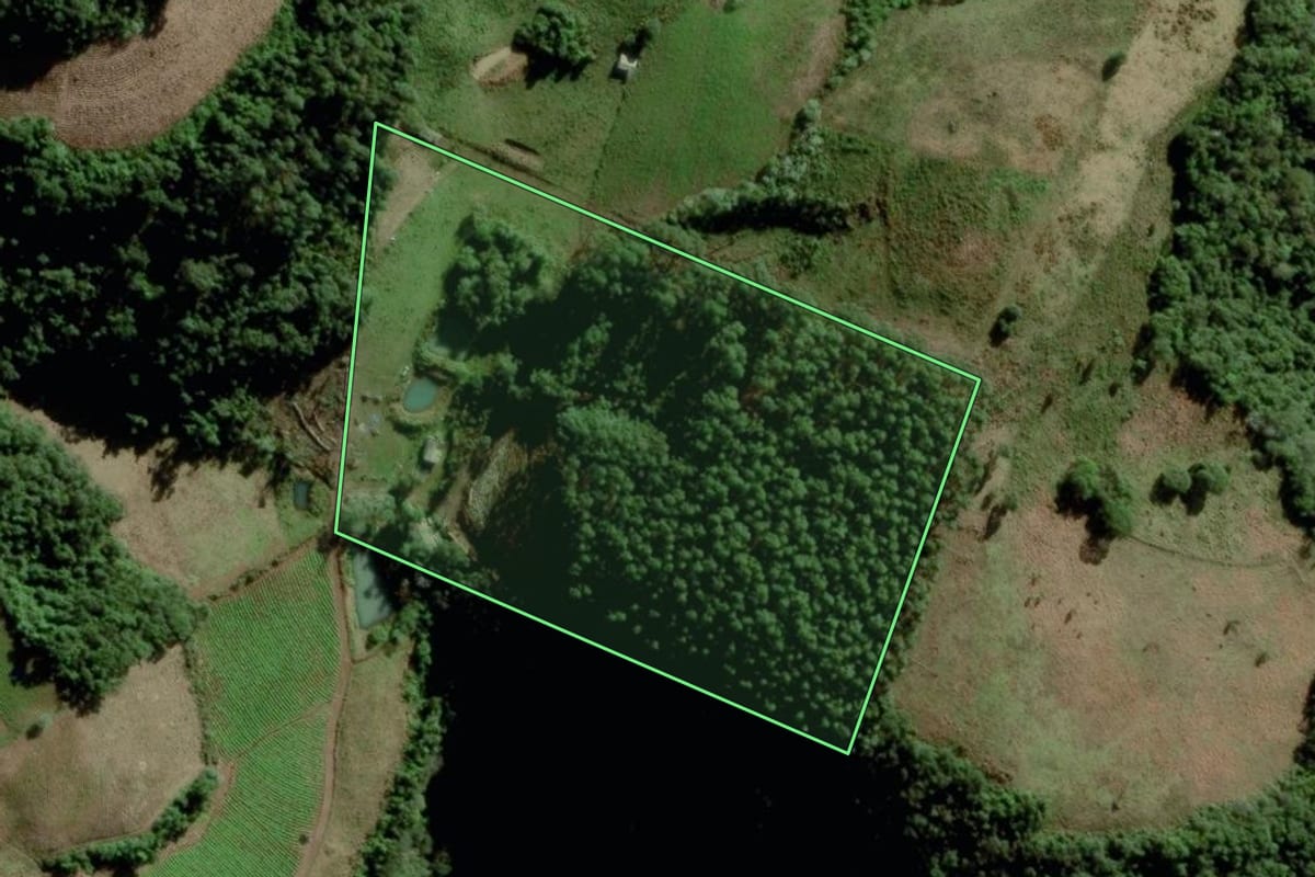 Imagem de satélite do imóvel rural em Passa Sete (RS), com o contorno declarado no CAR desenhado por cima.