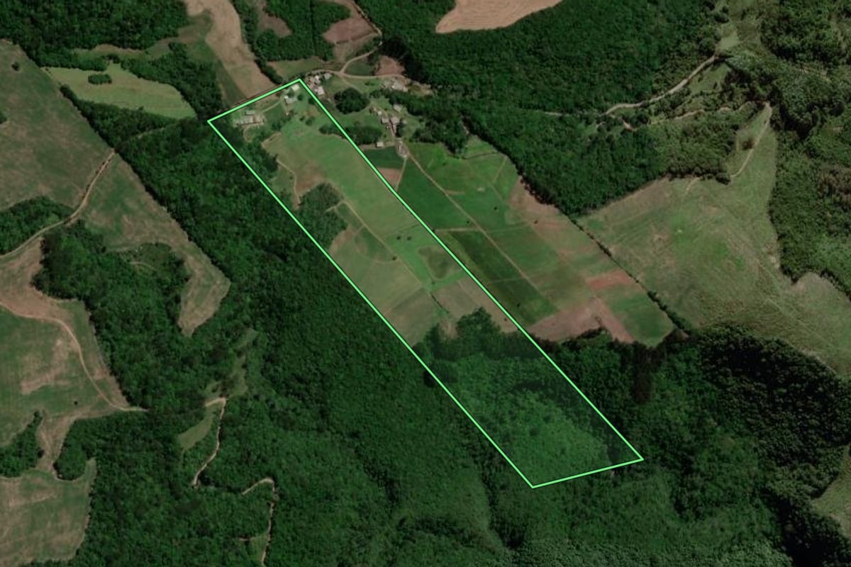Imagem de satélite do imóvel rural em Passa Sete (RS), com o contorno declarado no CAR desenhado por cima.