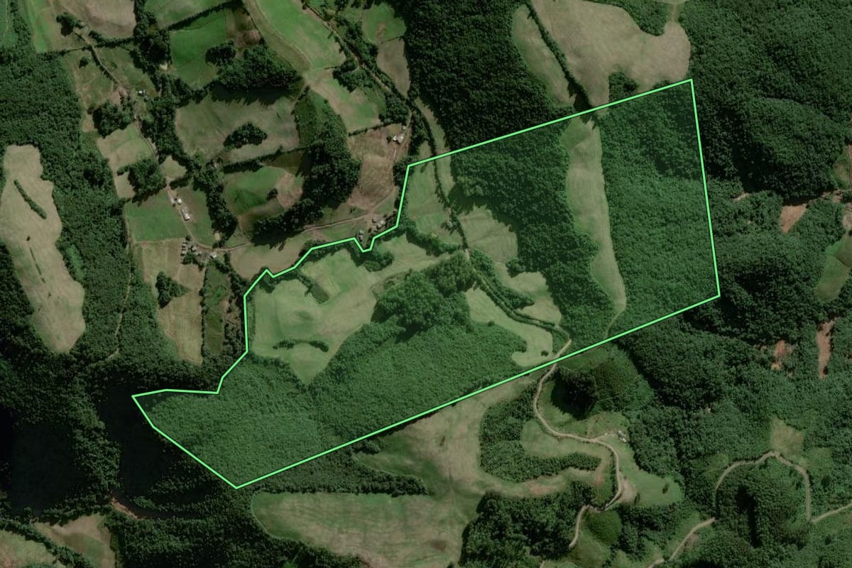 Imagem de satélite do imóvel rural em Passa Sete (RS), com o contorno declarado no CAR desenhado por cima.