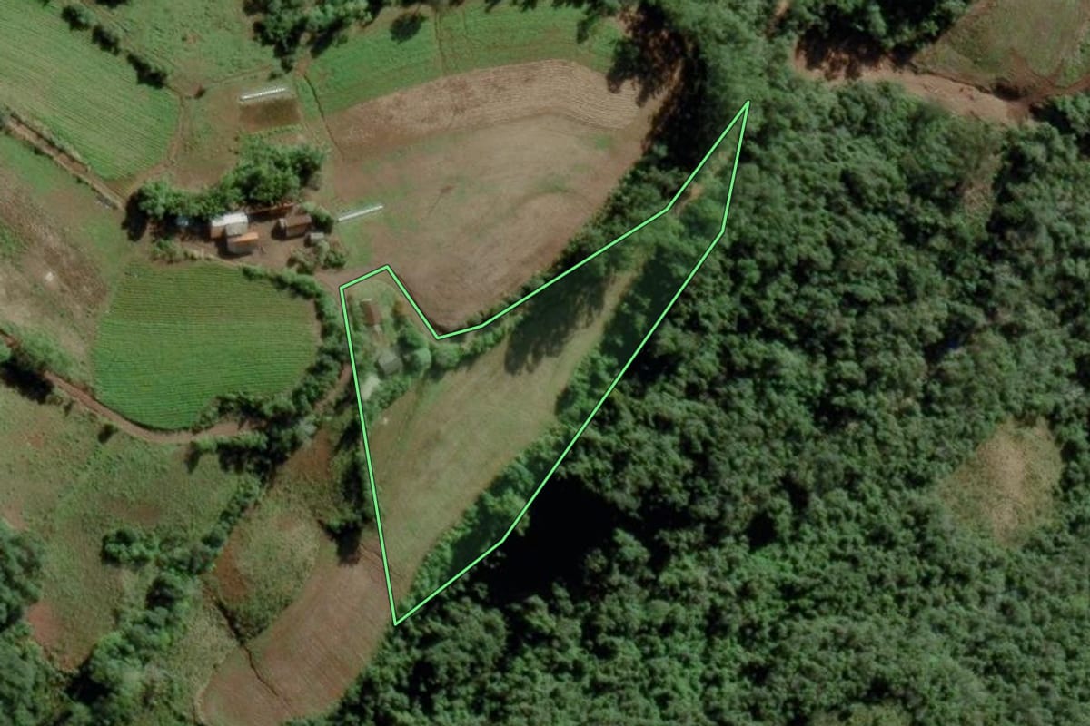 Imagem de satélite do imóvel rural em Passa Sete (RS), com o contorno declarado no CAR desenhado por cima.