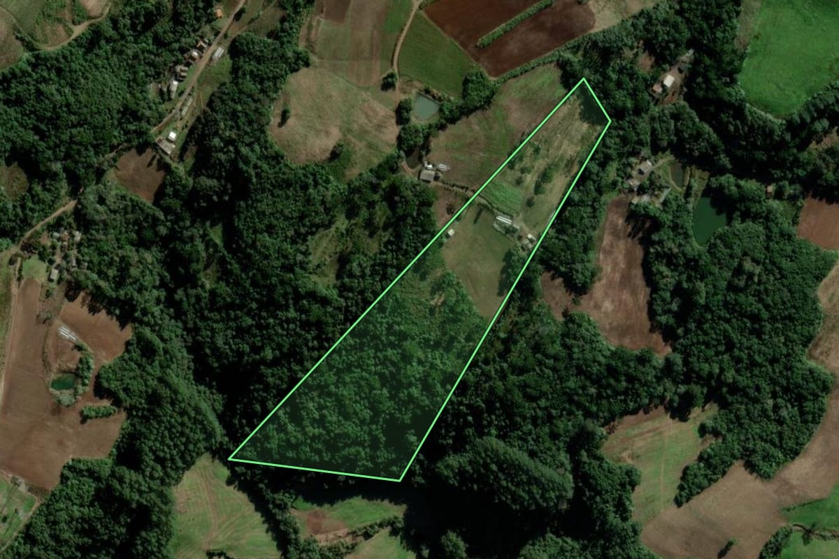 Imagem de satélite do imóvel rural em Passa Sete (RS), com o contorno declarado no CAR desenhado por cima.