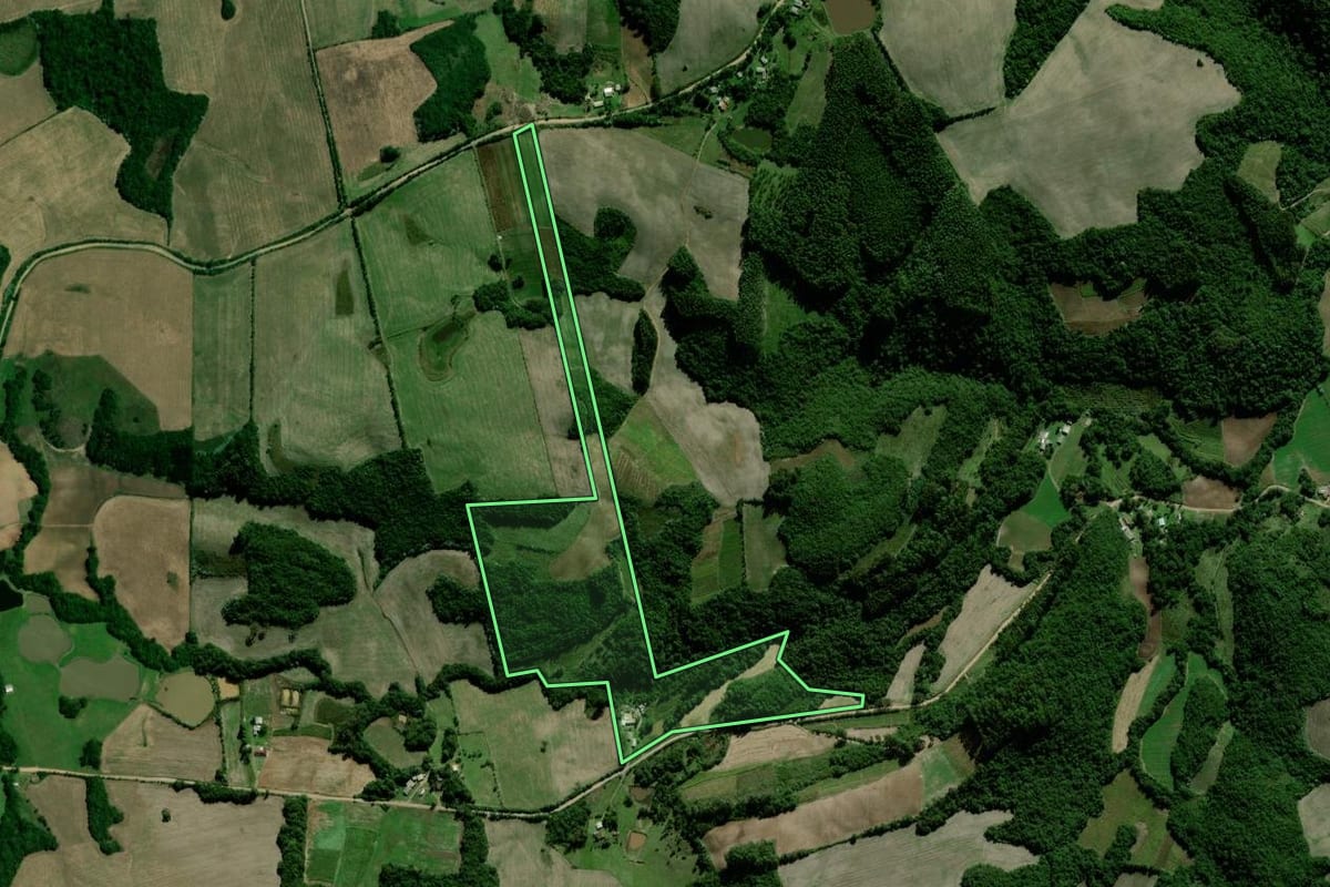 Imagem de satélite do imóvel rural em Passa Sete (RS), com o contorno declarado no CAR desenhado por cima.