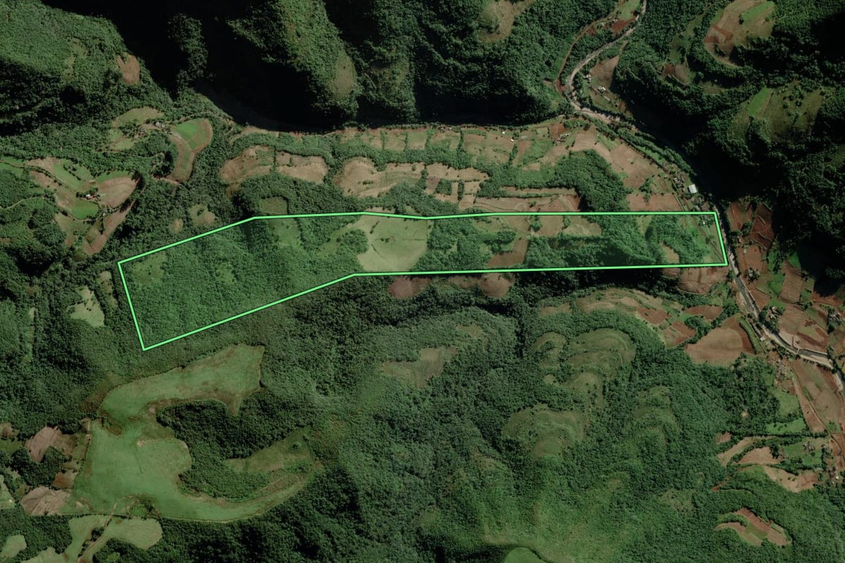 Imagem de satélite do imóvel rural em Passa Sete (RS), com o contorno declarado no CAR desenhado por cima.