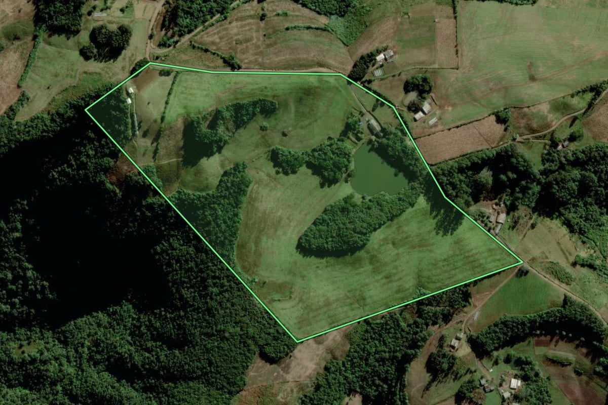 Imagem de satélite do imóvel rural em Passa Sete (RS), com o contorno declarado no CAR desenhado por cima.