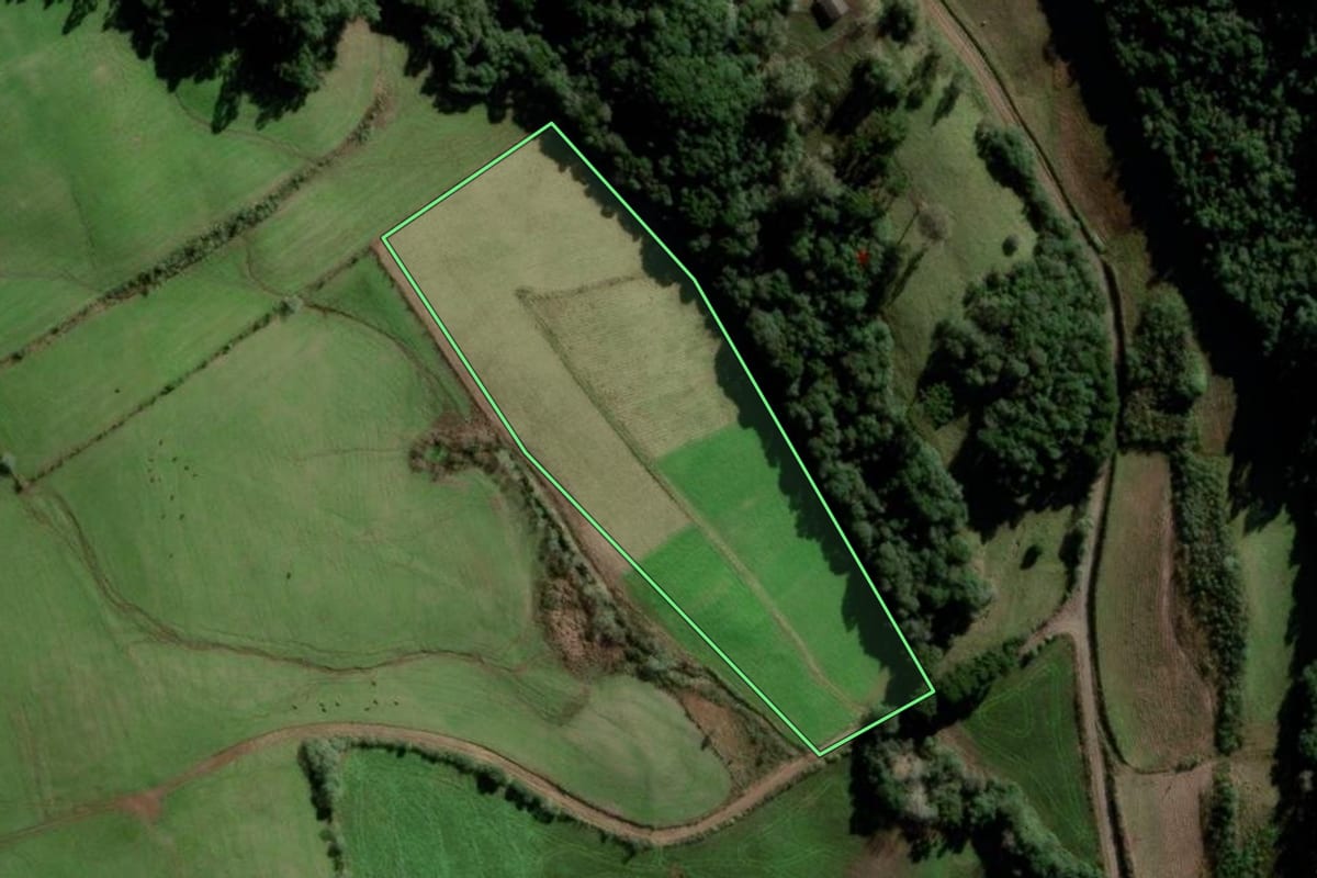 Imagem de satélite do imóvel rural em Passa Sete (RS), com o contorno declarado no CAR desenhado por cima.