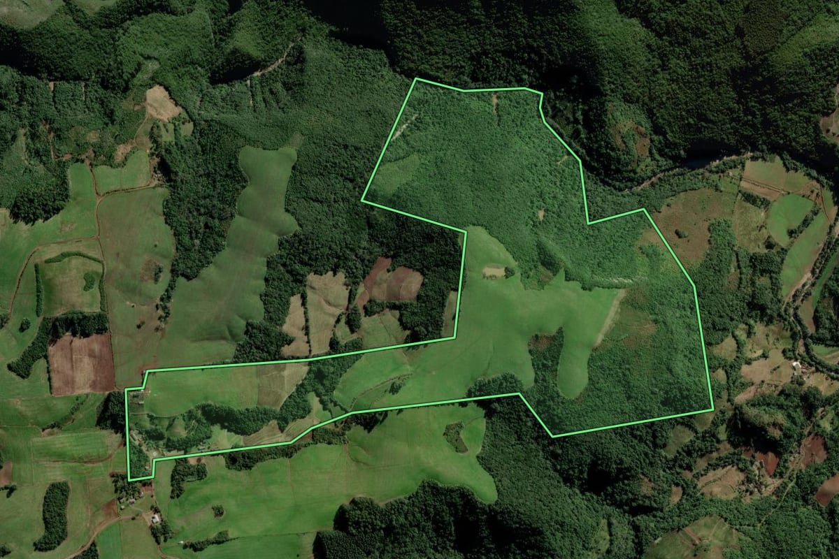Imagem de satélite do imóvel rural em Passa Sete (RS), com o contorno declarado no CAR desenhado por cima.