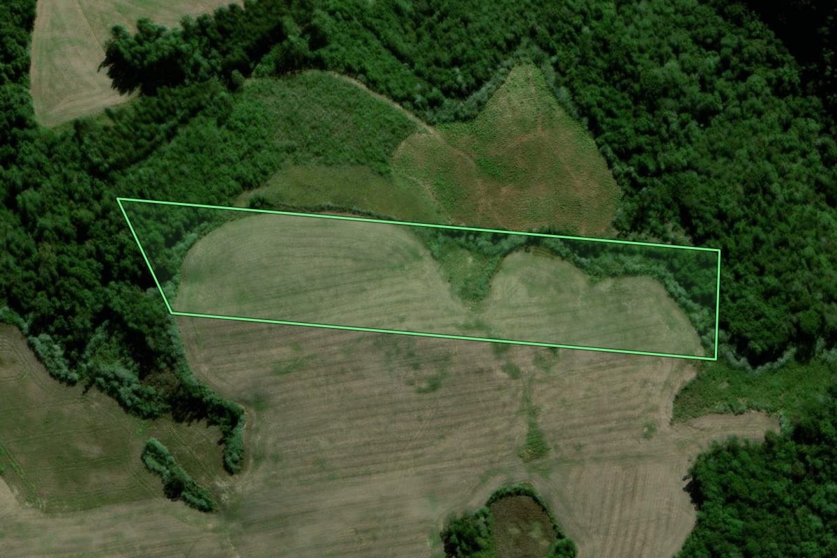 Imagem de satélite do imóvel rural em Passa Sete (RS), com o contorno declarado no CAR desenhado por cima.