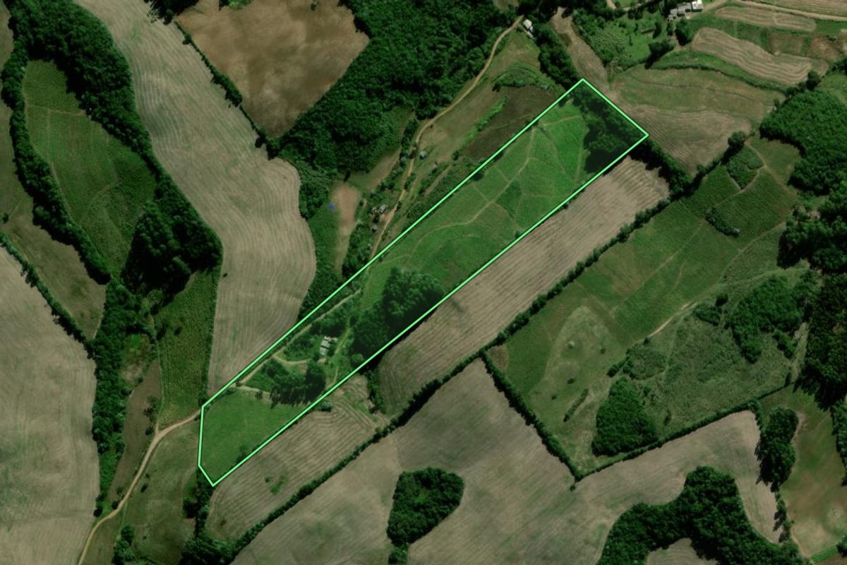 Imagem de satélite do imóvel rural em Passa Sete (RS), com o contorno declarado no CAR desenhado por cima.