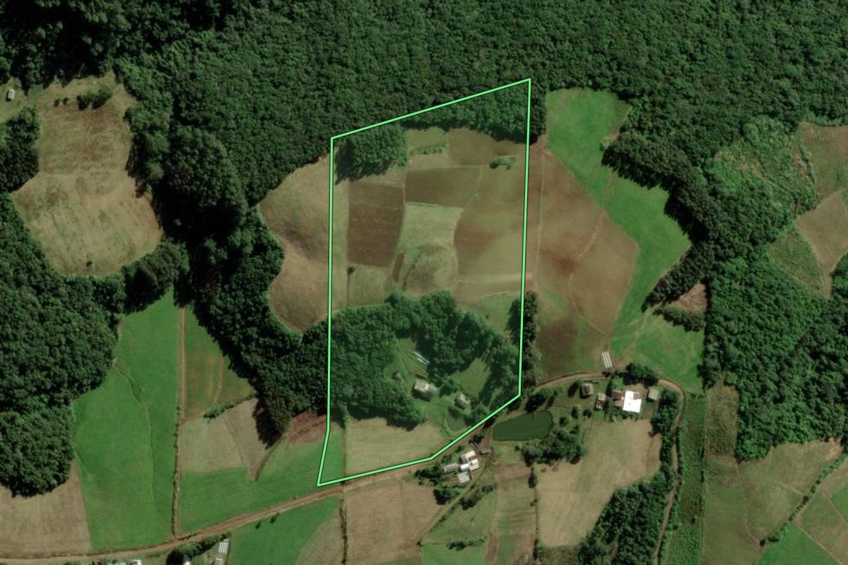 Imagem de satélite do imóvel rural em Passa Sete (RS), com o contorno declarado no CAR desenhado por cima.