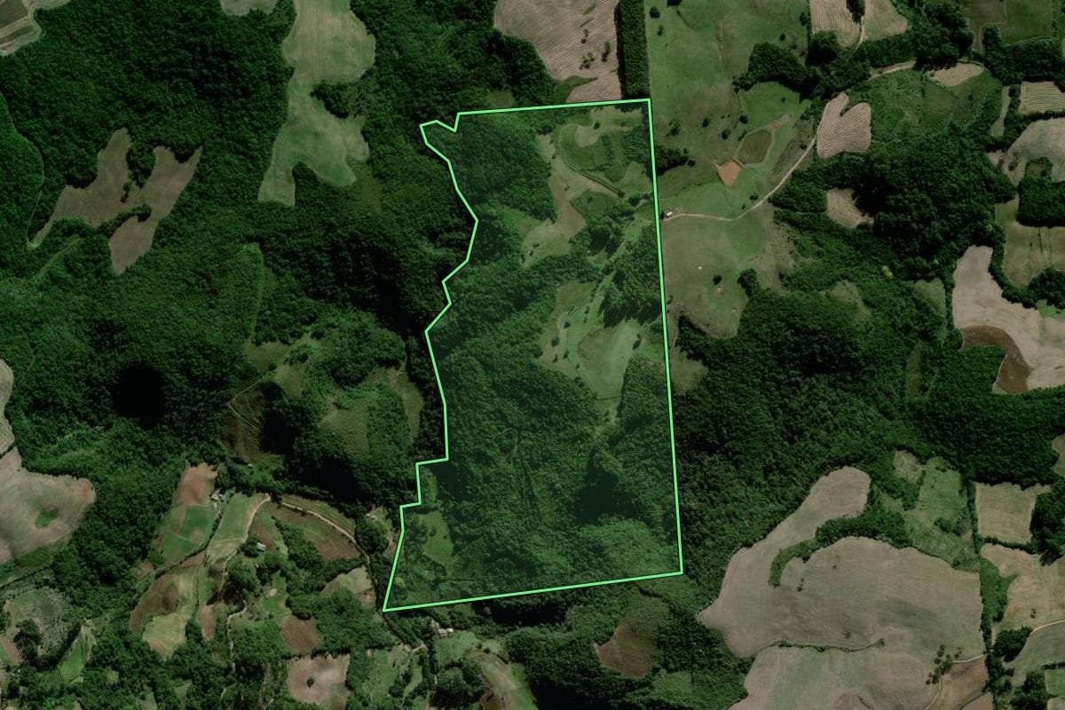 Imagem de satélite do imóvel rural em Passa Sete (RS), com o contorno declarado no CAR desenhado por cima.