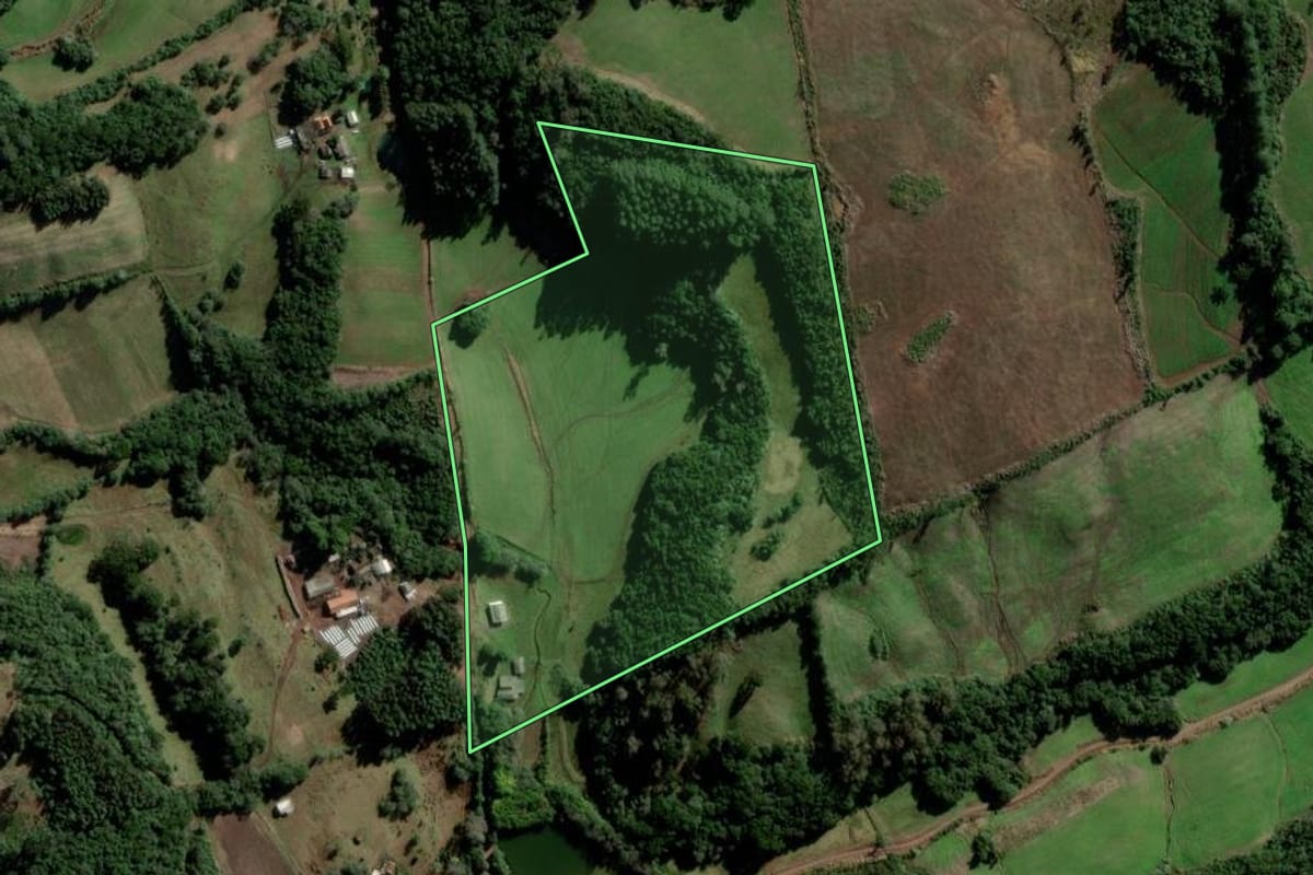 Imagem de satélite do imóvel rural em Passa Sete (RS), com o contorno declarado no CAR desenhado por cima.
