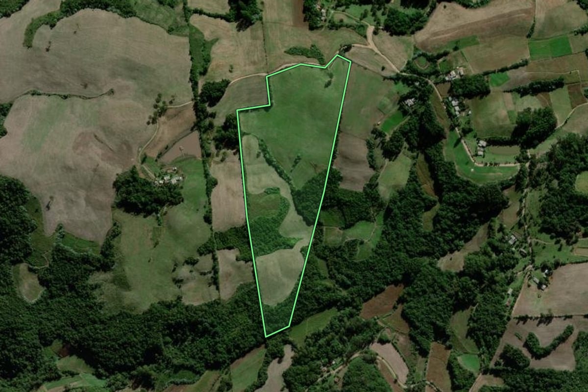 Imagem de satélite do imóvel rural em Passa Sete (RS), com o contorno declarado no CAR desenhado por cima.