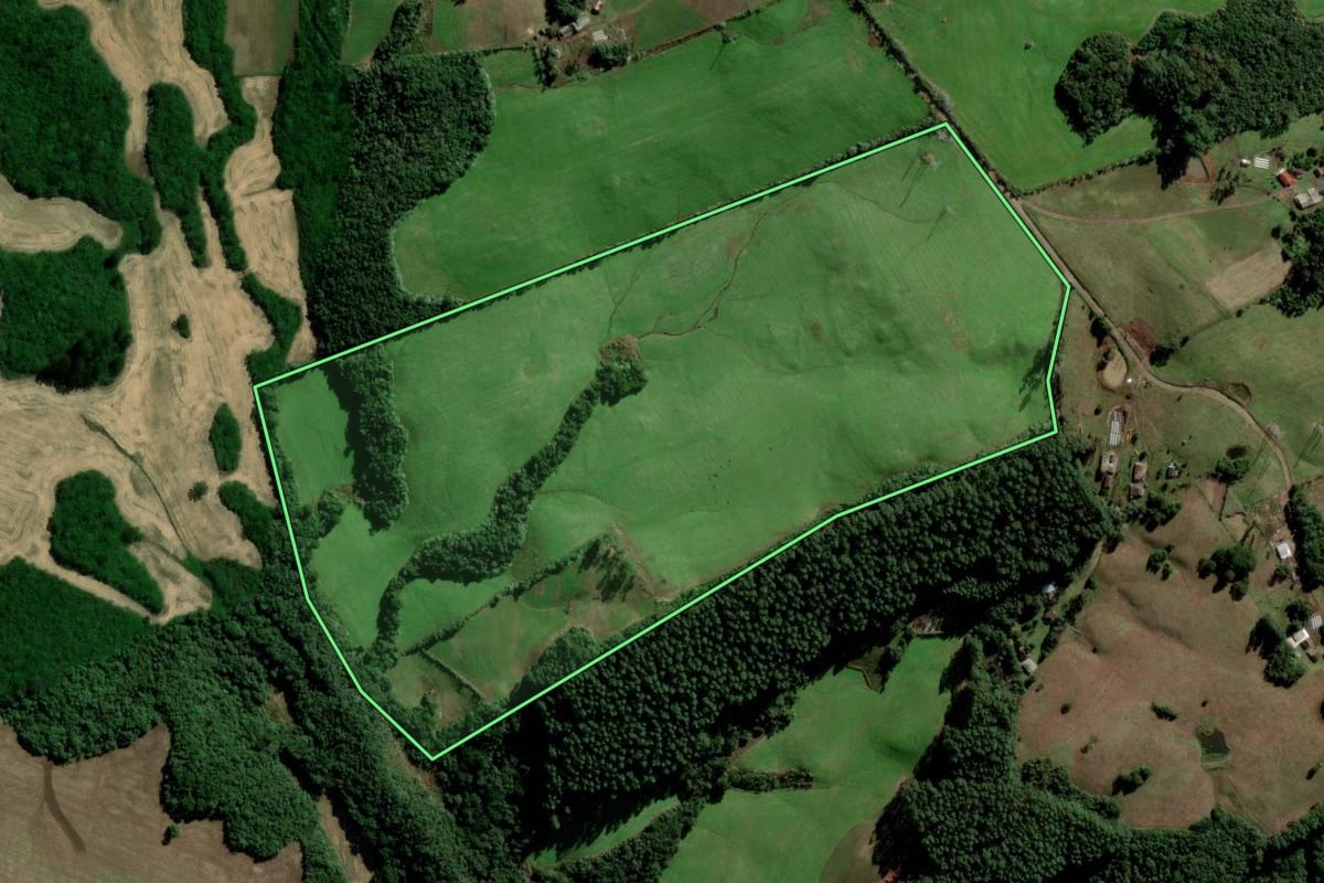 Imagem de satélite do imóvel rural em Passa Sete (RS), com o contorno declarado no CAR desenhado por cima.