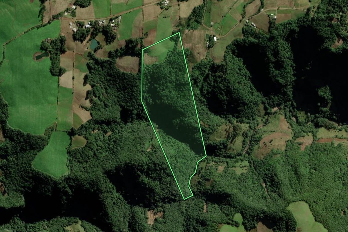 Imagem de satélite do imóvel rural em Passa Sete (RS), com o contorno declarado no CAR desenhado por cima.