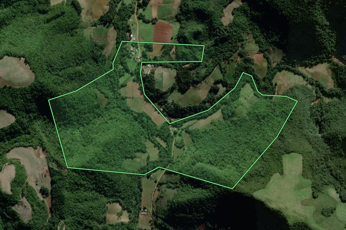 Imagem de satélite do imóvel rural em Passa Sete (RS), com o contorno declarado no CAR desenhado por cima.