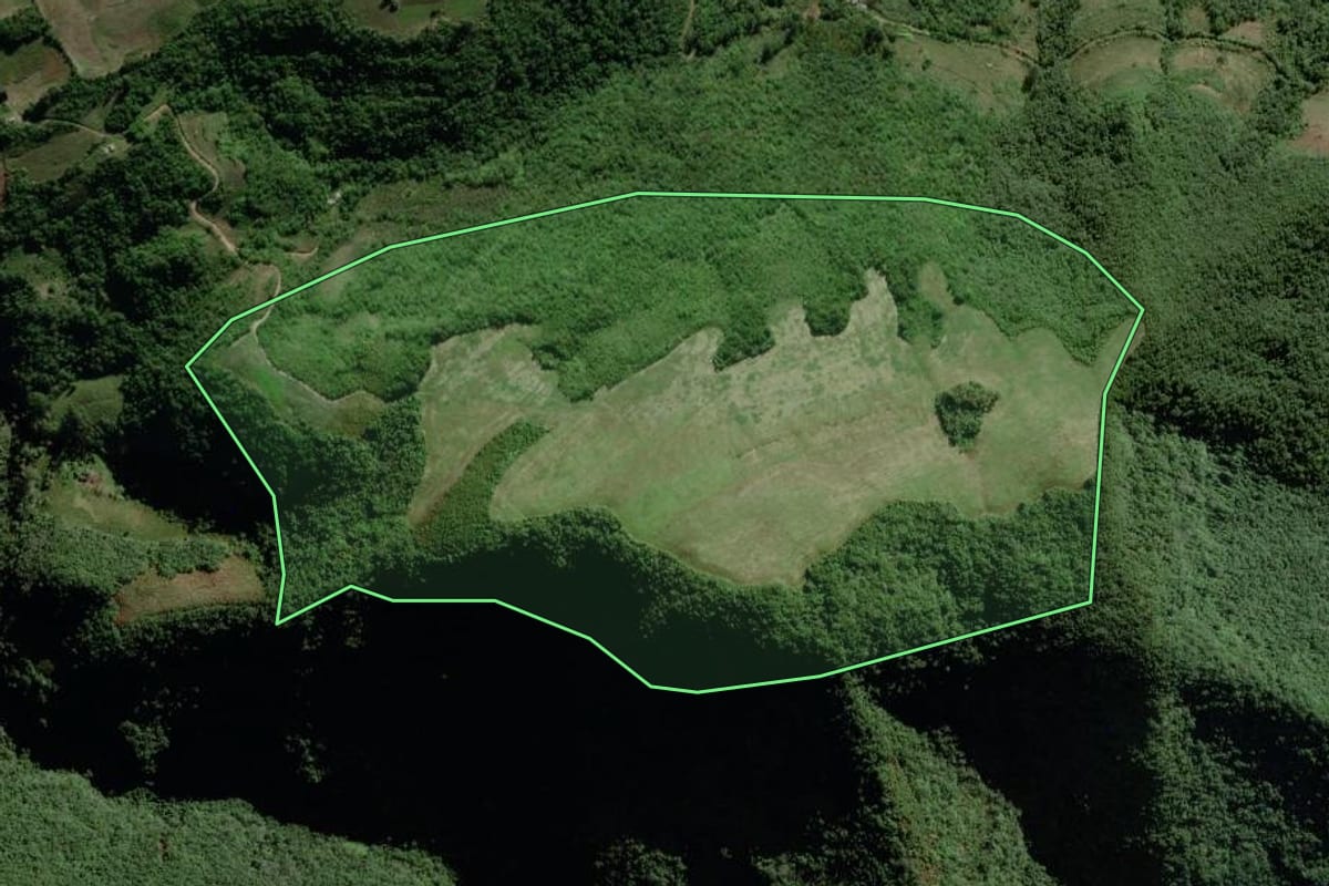 Imagem de satélite do imóvel rural em Passa Sete (RS), com o contorno declarado no CAR desenhado por cima.