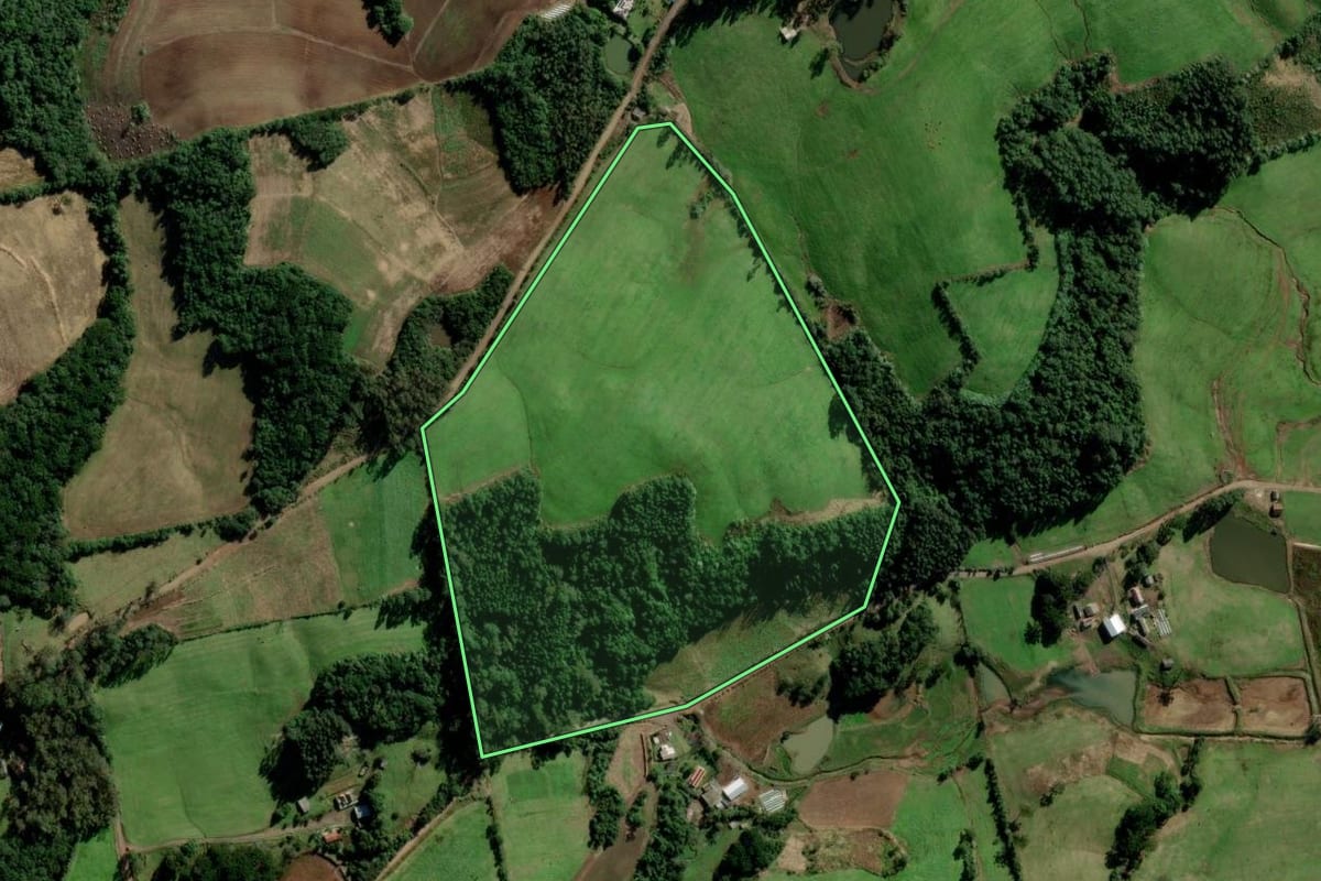 Imagem de satélite do imóvel rural em Passa Sete (RS), com o contorno declarado no CAR desenhado por cima.