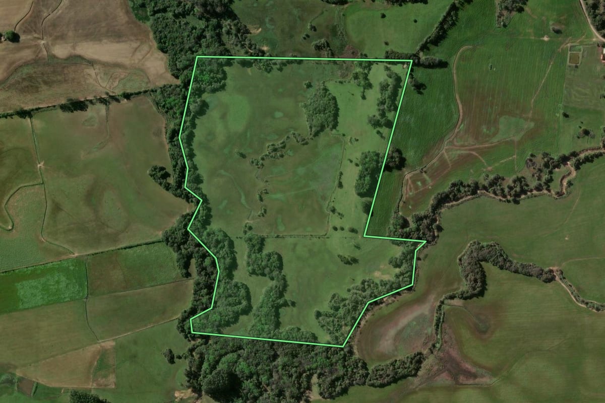 Imagem de satélite do imóvel rural em Passo do Sobrado (RS), com o contorno declarado no CAR desenhado por cima.