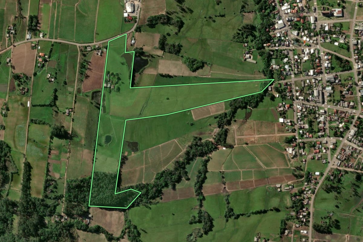 Imagem de satélite do imóvel rural em Passo do Sobrado (RS), com o contorno declarado no CAR desenhado por cima.