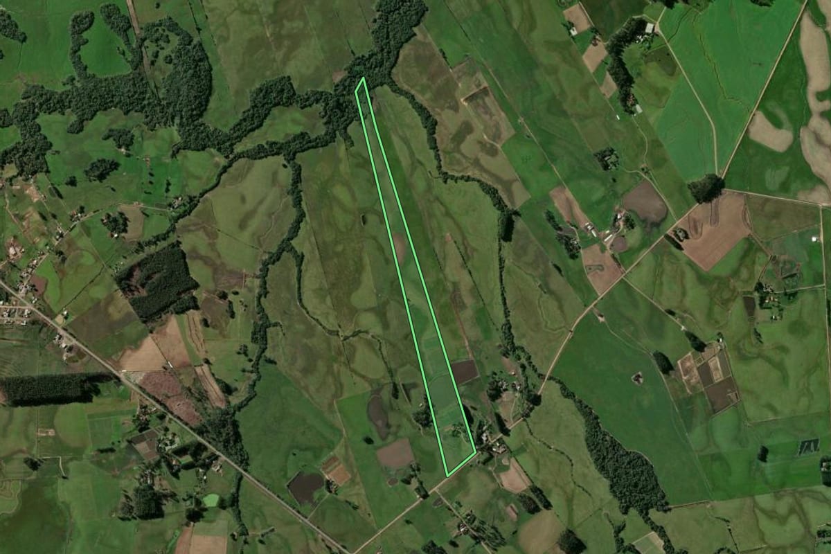 Imagem de satélite do imóvel rural em Passo do Sobrado (RS), com o contorno declarado no CAR desenhado por cima.