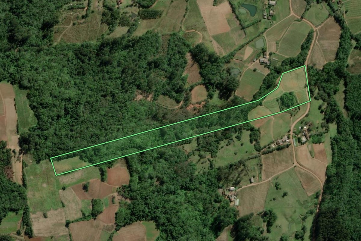 Imagem de satélite do imóvel rural em Passo do Sobrado (RS), com o contorno declarado no CAR desenhado por cima.