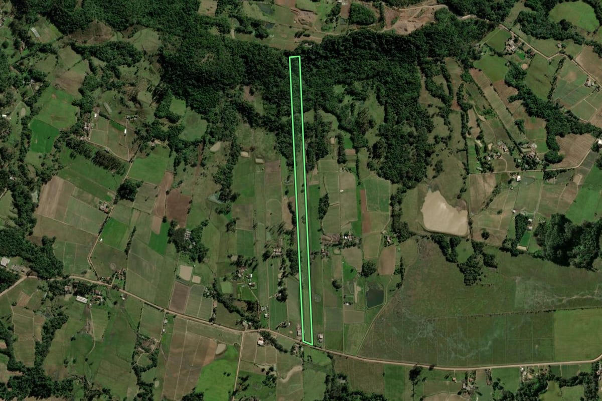 Imagem de satélite do imóvel rural em Passo do Sobrado (RS), com o contorno declarado no CAR desenhado por cima.