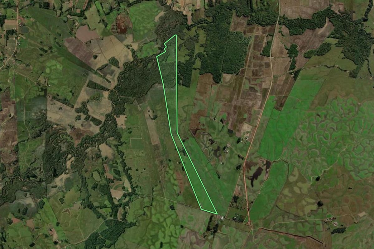 Imagem de satélite do imóvel rural em Passo do Sobrado (RS), com o contorno declarado no CAR desenhado por cima.