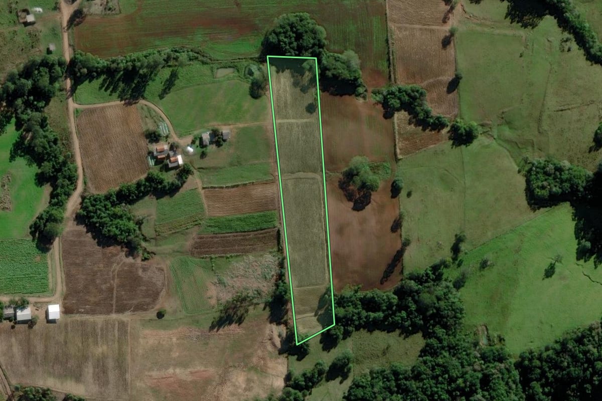 Imagem de satélite do imóvel rural em Passo do Sobrado (RS), com o contorno declarado no CAR desenhado por cima.