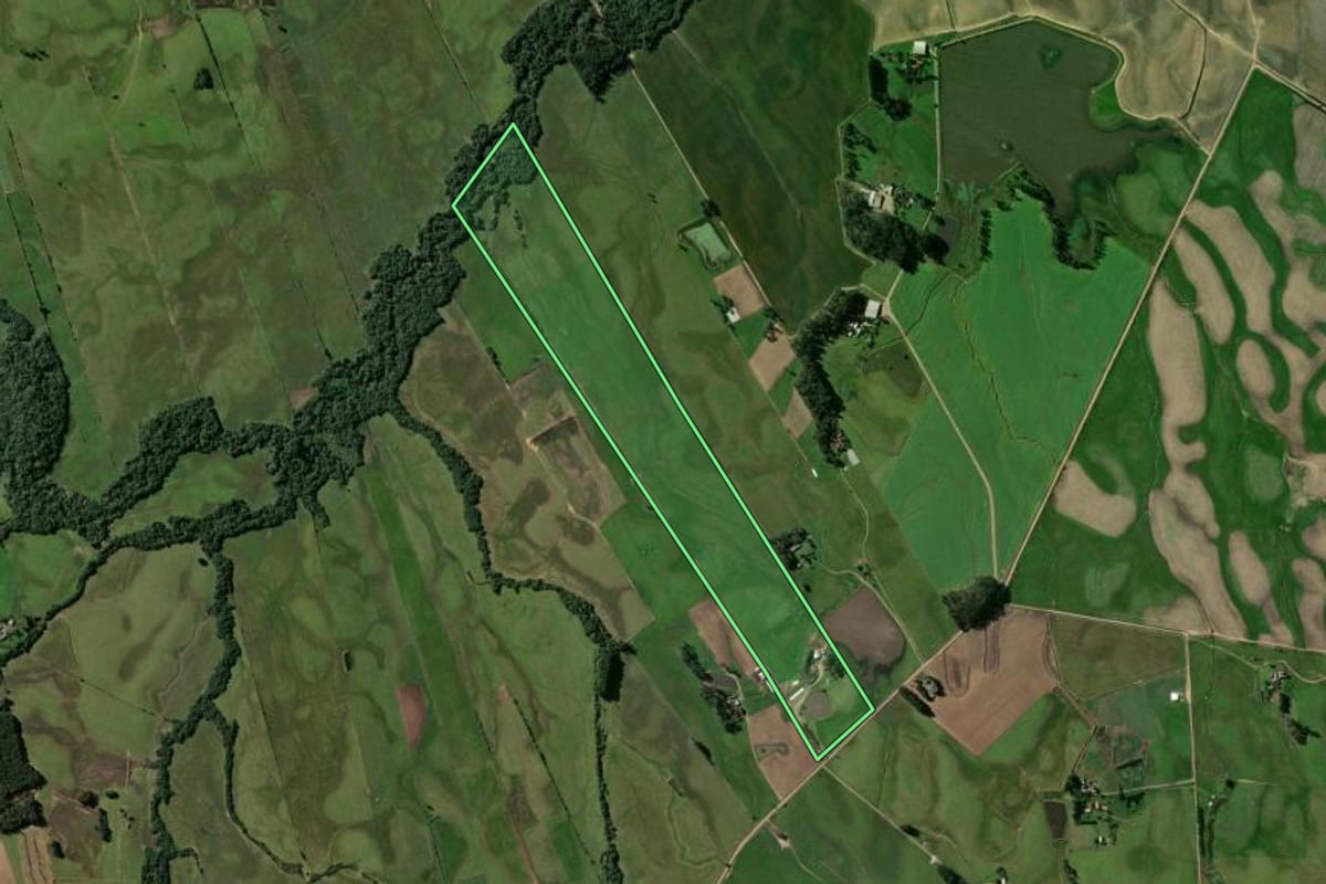 Imagem de satélite do imóvel rural em Passo do Sobrado (RS), com o contorno declarado no CAR desenhado por cima.