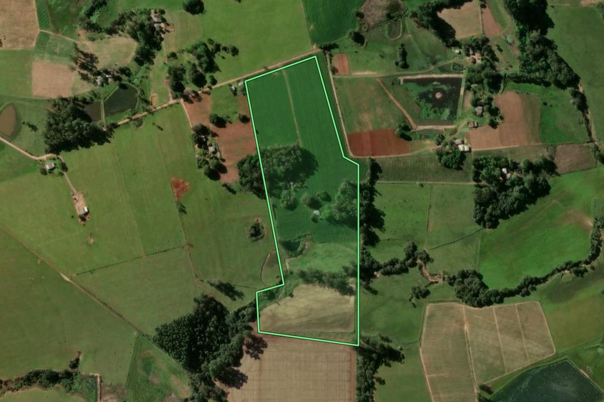 Imagem de satélite do imóvel rural em Passo do Sobrado (RS), com o contorno declarado no CAR desenhado por cima.