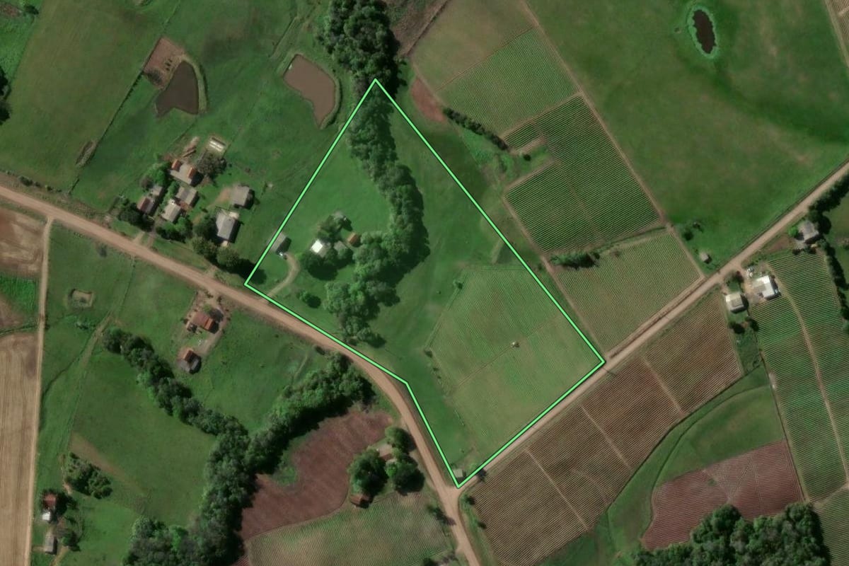 Imagem de satélite do imóvel rural em Passo do Sobrado (RS), com o contorno declarado no CAR desenhado por cima.