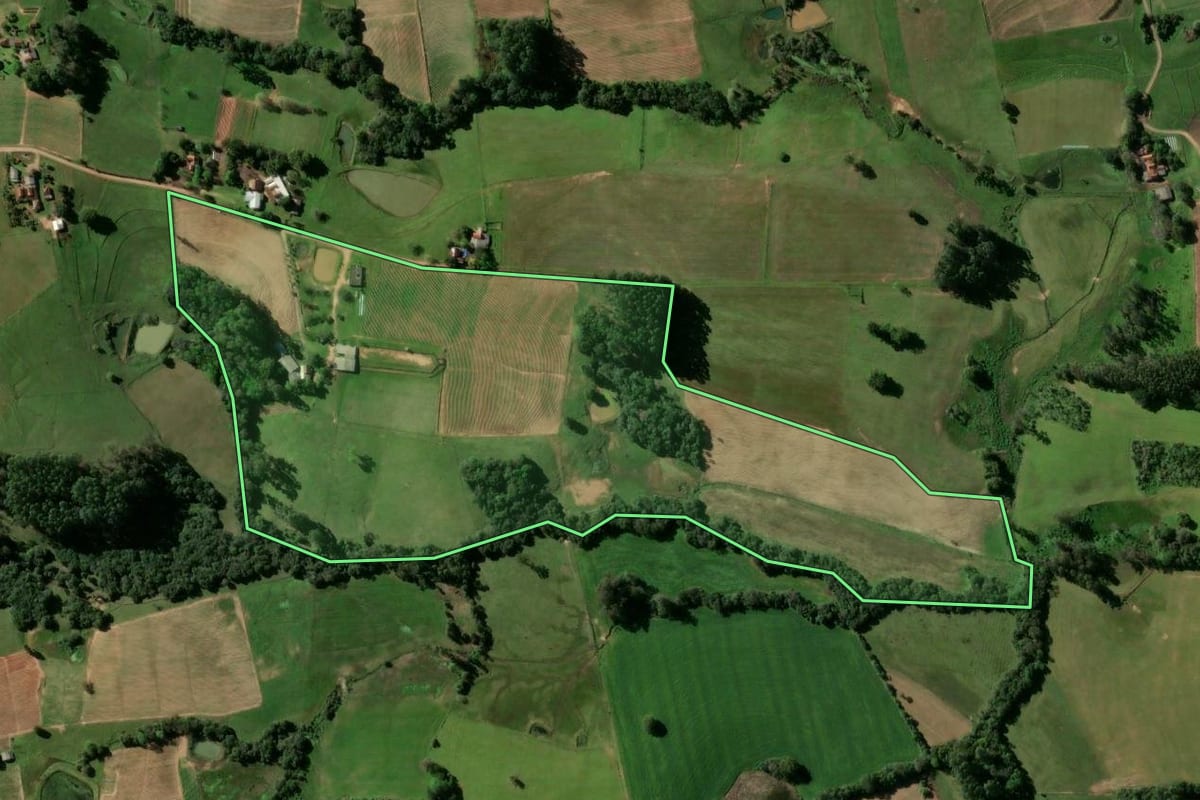 Imagem de satélite do imóvel rural em Passo do Sobrado (RS), com o contorno declarado no CAR desenhado por cima.