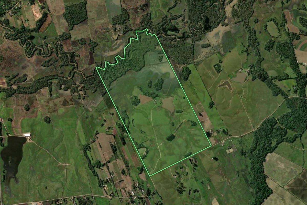 Imagem de satélite do imóvel rural em Passo do Sobrado (RS), com o contorno declarado no CAR desenhado por cima.