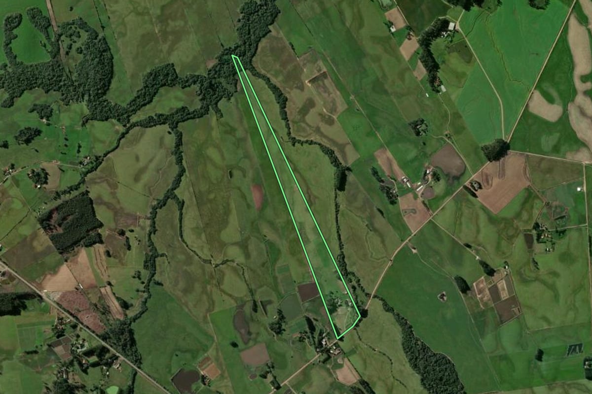 Imagem de satélite do imóvel rural em Passo do Sobrado (RS), com o contorno declarado no CAR desenhado por cima.