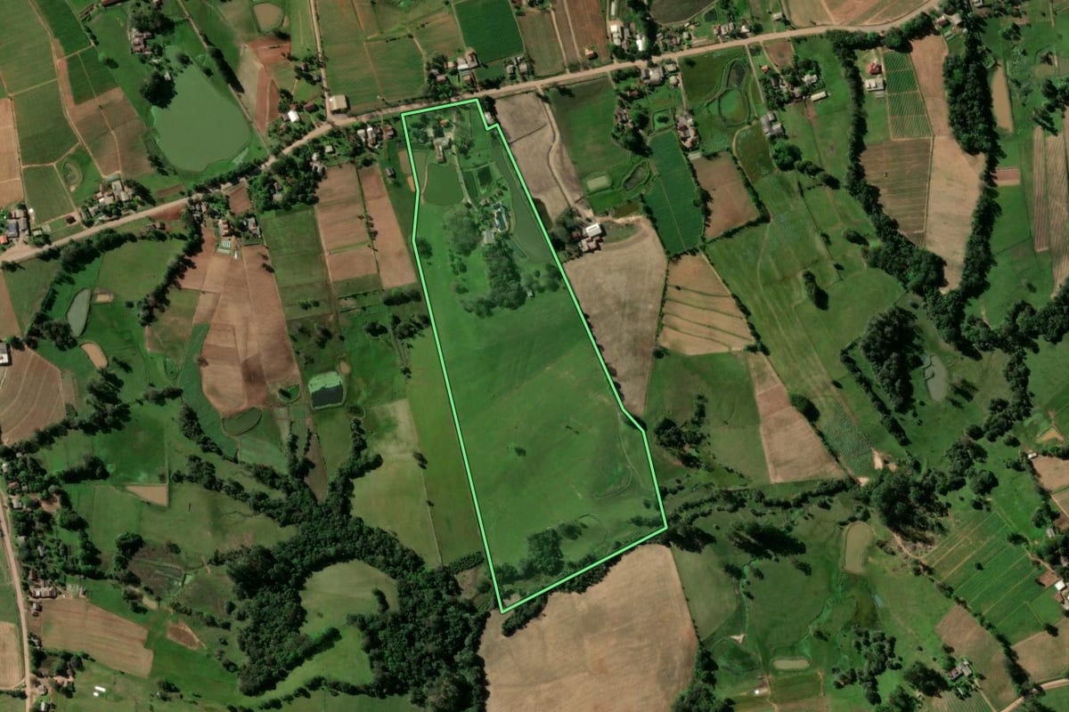 Imagem de satélite do imóvel rural em Passo do Sobrado (RS), com o contorno declarado no CAR desenhado por cima.