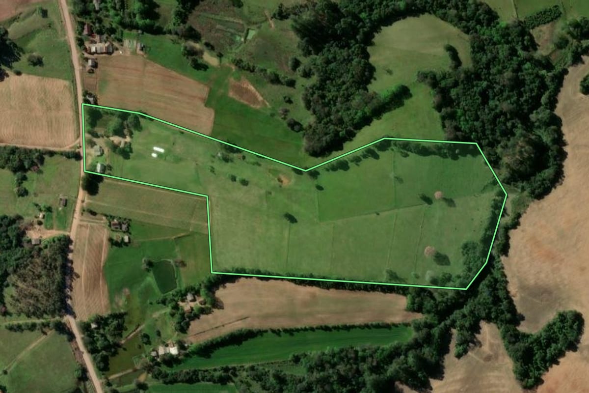 Imagem de satélite do imóvel rural em Passo do Sobrado (RS), com o contorno declarado no CAR desenhado por cima.