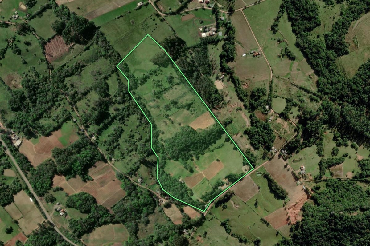 Imagem de satélite do imóvel rural em Passo do Sobrado (RS), com o contorno declarado no CAR desenhado por cima.
