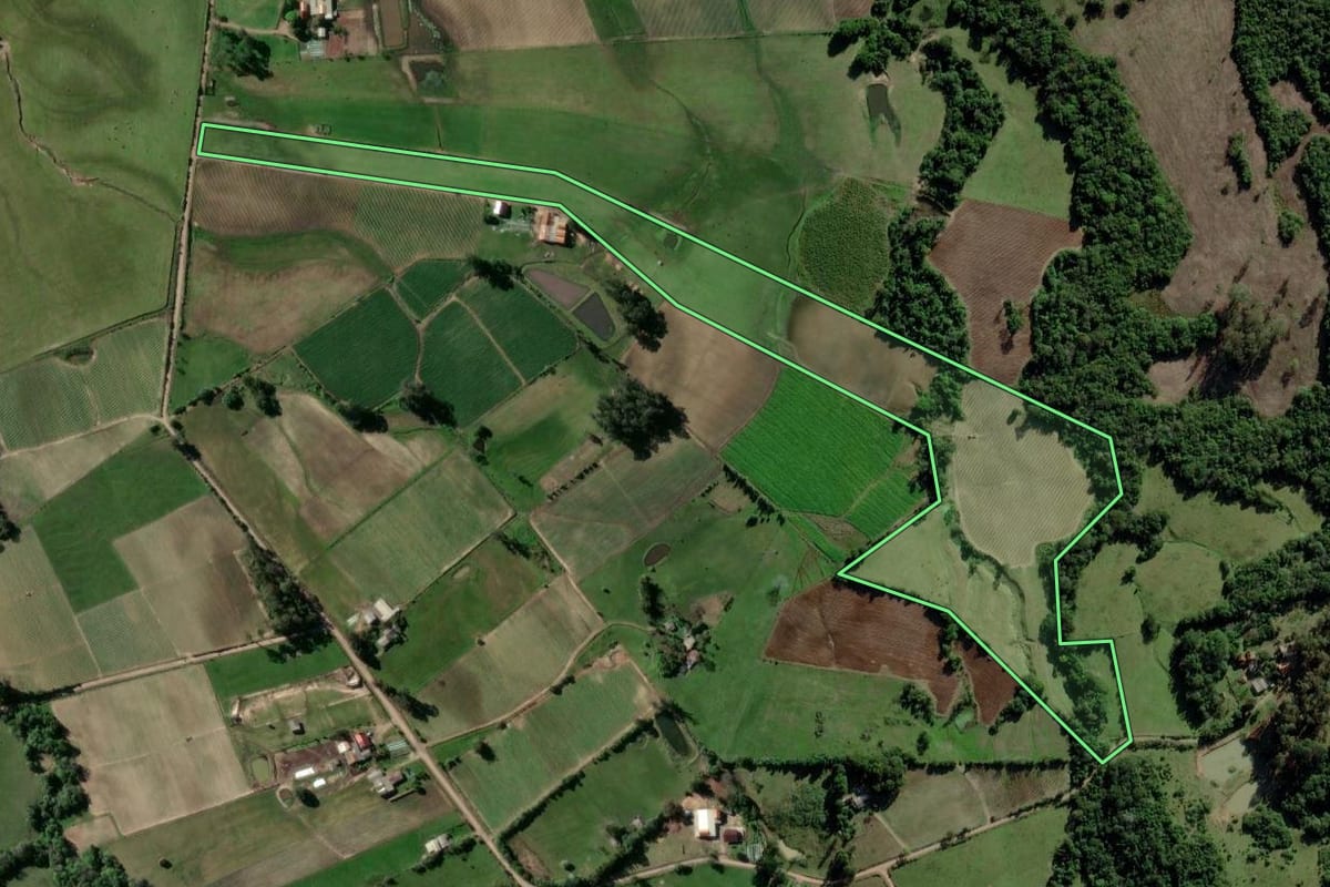 Imagem de satélite do imóvel rural em Passo do Sobrado (RS), com o contorno declarado no CAR desenhado por cima.