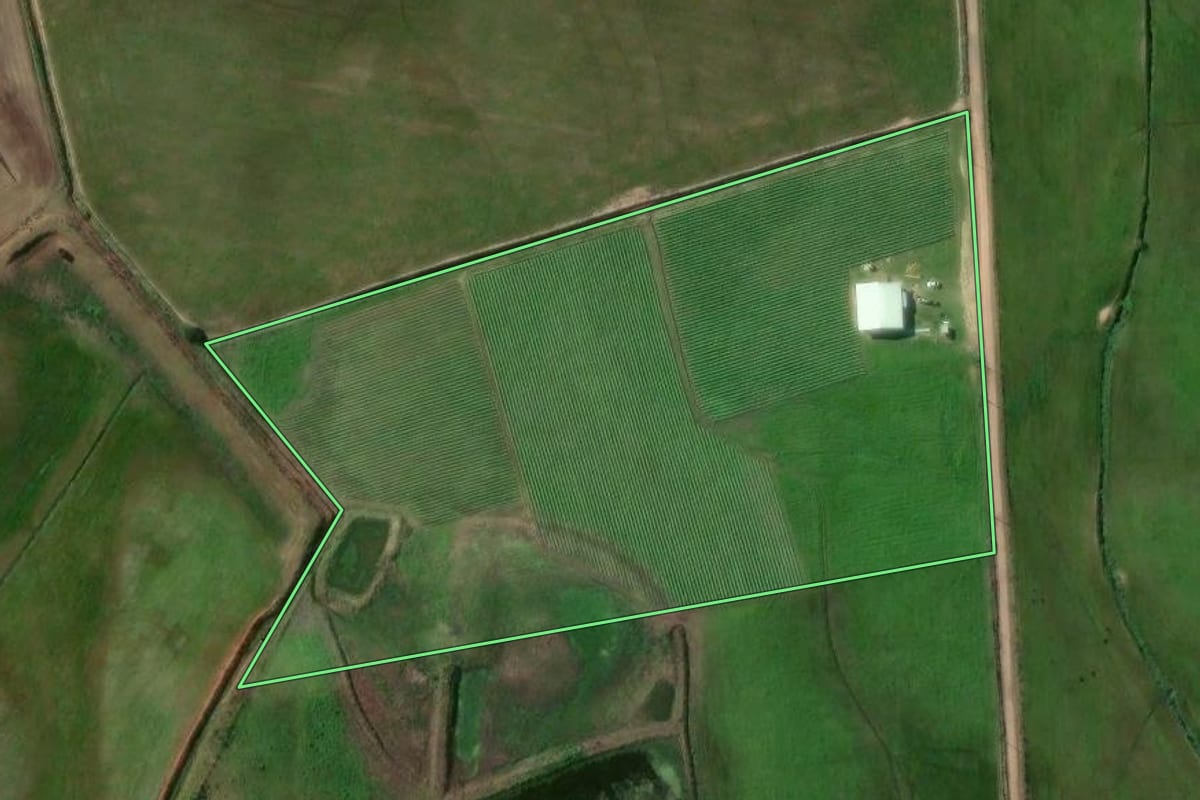Imagem de satélite do imóvel rural em Passo do Sobrado (RS), com o contorno declarado no CAR desenhado por cima.