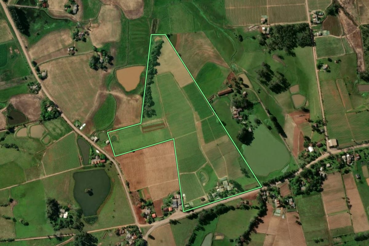 Imagem de satélite do imóvel rural em Passo do Sobrado (RS), com o contorno declarado no CAR desenhado por cima.