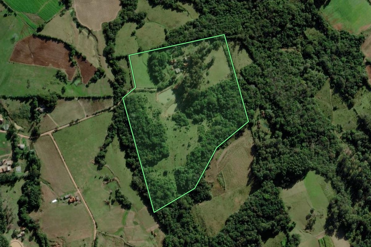 Imagem de satélite do imóvel rural em Passo do Sobrado (RS), com o contorno declarado no CAR desenhado por cima.