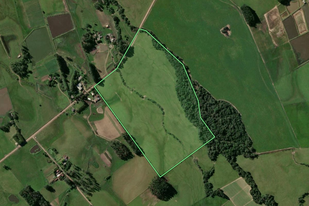 Imagem de satélite do imóvel rural em Passo do Sobrado (RS), com o contorno declarado no CAR desenhado por cima.