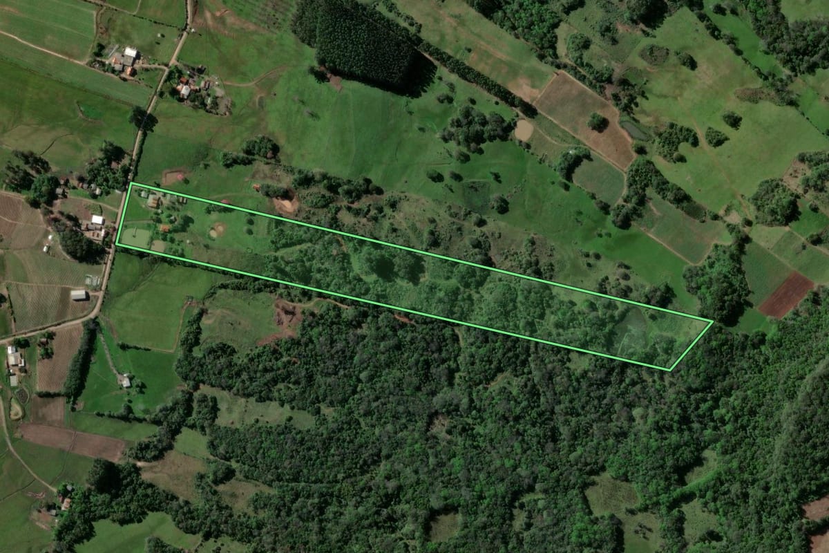Imagem de satélite do imóvel rural em Passo do Sobrado (RS), com o contorno declarado no CAR desenhado por cima.