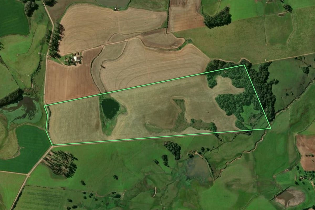 Imagem de satélite do imóvel rural em Passo do Sobrado (RS), com o contorno declarado no CAR desenhado por cima.