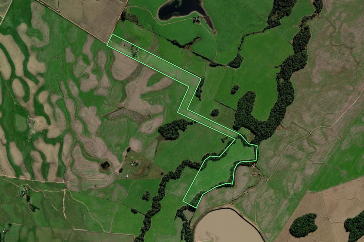Imagem de satélite do imóvel rural em Passo do Sobrado (RS), com o contorno declarado no CAR desenhado por cima.