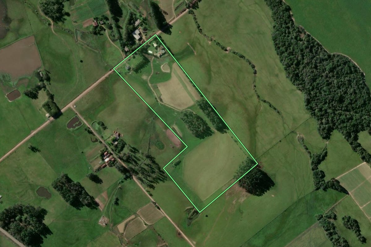 Imagem de satélite do imóvel rural em Passo do Sobrado (RS), com o contorno declarado no CAR desenhado por cima.