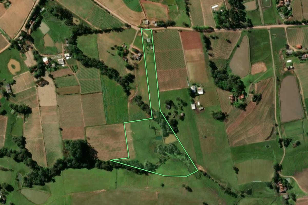 Imagem de satélite do imóvel rural em Passo do Sobrado (RS), com o contorno declarado no CAR desenhado por cima.